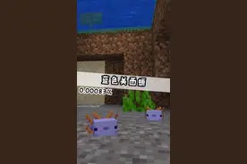 #我的世界 #我的世界指令教学 教你如何用指令召唤蓝色蝾螈