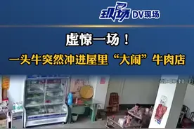 虚惊一场！一头牛突然冲进屋里，“大闹“牛肉店”，所幸没有人受伤，店主称因外面大车按喇叭，大牛受惊吓所致#山东dou知道 视频封面