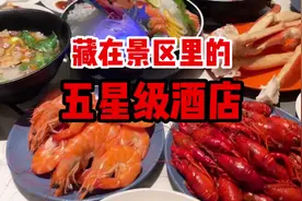 藏在景区里的五星级酒店#大洋湾希尔顿逸林酒店 #老王吃盐城视频封面