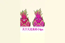 关于火龙果的小tips！#健康科普 #火龙果 视频封面