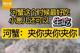 吃过什么小的螃蟹嘛？看看表情，就知道啥滋味儿了！视频封面