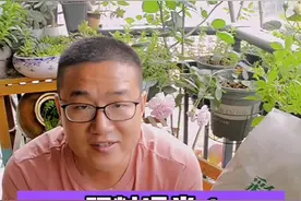 #养花#肥料 课堂1，被神话的进口#奥绿肥，跟你聊点不一样的。 #涨知识 #干货 #经验分享 @DOU+小助手视频封面