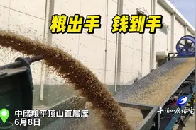 今年夏粮收购工作启动以来，中央储备粮平顶山直属库备足收购资金视频封面
