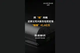 拜“锂”所赐，这家公司大股东包揽定增“躺赚”45.6亿元#新能源 #锂电池 #盛新锂能 #财经 视频封面