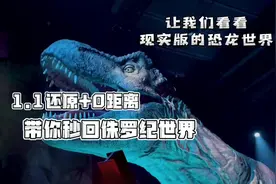 侏罗纪世界电影特展，亲测99%还原，近距离接触恐龙时代视频封面