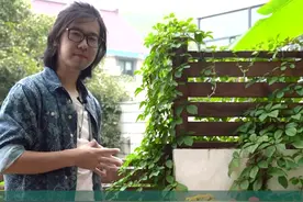 植物太多摆不下？阳台党快来试试这个花架，收纳很赞～视频封面