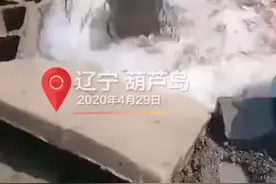 #辽宁#农民打井打出一口喷泉 井水遍地横流，乡长调来挖掘机引渠@抖音短视频