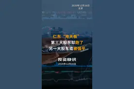 仁东“地天板”，第三大股东却跑了！另一大股东或被强平#仁东控股 #仁东控股地天板 #地天板视频封面