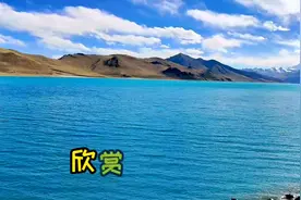 带你一分钟了解#国道318#川藏南线 和@我们  #旅行 #旅游视频封面