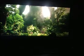 51第3天，简单包个场 请陌生人陪我和儿子一起看电影视频封面