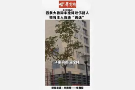 气愤！四条大狼狗不拴绳也不戴嘴套，咬伤路人后，狗与主人还当场“逃逸”！西安市民经过这里要注意！视频封面