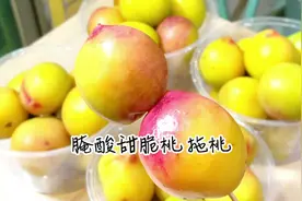 潮汕腌制酸甜脆桃 拖桃开胃解暑 爽口好吃 做了十斤都不够分呀