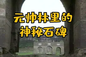 豫亲王的后代，咱就不说你们啥了 #抚顺视频封面