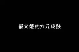 蔡文姬的六元皮肤你们买了吗？#这个视频有点料视频封面