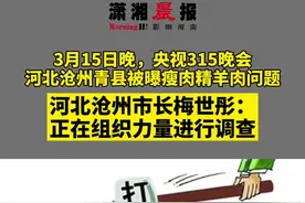 河北沧州市长梅世彤：要求青县对央视曝光的瘦肉精羊肉问题彻查到底视频封面