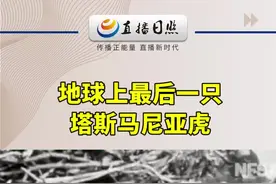 澳大利亚公布1935年珍贵影像：地球上最后一只塔斯马尼亚虎视频封面