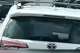 美国一男子爬上行驶中的大卡车，在车顶跳舞跌落致死，目击者：太可怕了视频封面