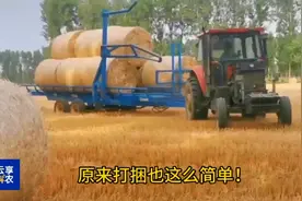 原来打捆也这么简单！ #打捆机#秸秆打捆机 #收割 #农机