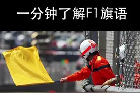 #f1  #赛车 一分钟了解F1旗语(下)