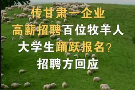 传甘肃一企业高薪招聘百位牧羊人，大学生踊跃报名？ 招聘方回应#甘肃 #高薪 #招聘 #放羊 #大学生 视频封面