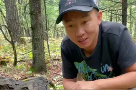 马勃老百姓叫它马粪包，嫩的时候可以食用，它也是药材，我们一整在山里手划破了，就用它的粉抹上，不一会就不淌血了！#马勃 #大自然的搬运工视频封面