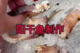 阳干鱼很多人都喜欢吃，今天分享一下制作方法，晒的时候从头到尾都没有蚊子。@天门谋哥（日常）
