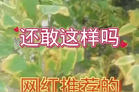 磷酸二氢钾不能和含金属元素混用#磷酸二氢钾 #蔬菜种植技术 #农业技术 @抖音三农 视频封面
