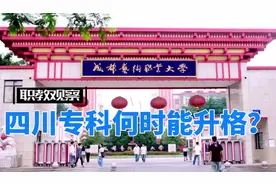 四川省本科录取率这么低，新建本科院校在何方？#职教观察视频封面