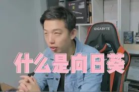 向日葵到底是什么，具体怎么使用呢？视频封面