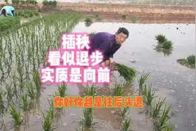 一首《插秧诗》看似退步，实则是向前。#西充 #南充 #四川视频封面