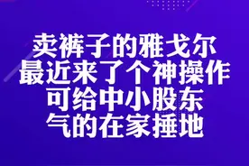 #财经  雅戈尔的中小股东要气死了！！总之就是好气好气！@DOU+小助手 视频封面