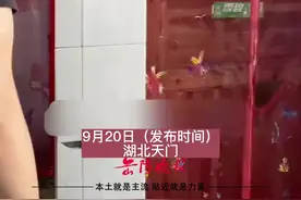 9月20日（发布时间），湖北天门，民警抓捕电信诈骗嫌疑人，满屋搜查 找不见踪影。7岁儿子：我爸在后面房子，我带你们去。视频封面