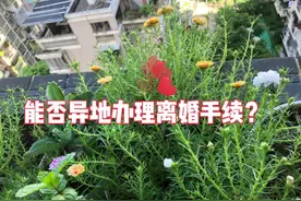 能否异地办理离婚手续。#协议离婚 #起诉离婚 #异地离婚视频封面