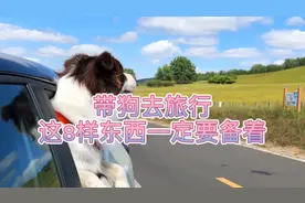 带狗旅行除了狗粮必备，还有这8样应急必备的东西也一定要带上视频封面