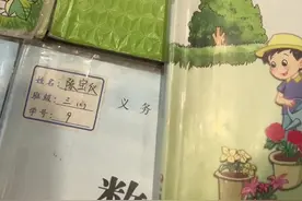 苏教版每一册左下角都印有～努力学习、回报祖国！可惜语文书三年前已经统一成人教了！#少年强则国强 #苏教版插图满满中国风视频封面