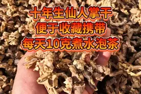 仙人掌煮水。泡茶喝。消炎杀菌去火。消肿止痛。活血化瘀。视频封面