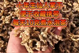 仙人掌煮水。泡茶喝。消炎杀菌去火。消肿止痛。活血化瘀。视频封面