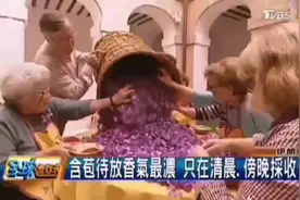 藏红花可改善8种症状！ 1⃣️痛经视频封面