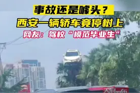 陕西西安街头，一辆轿车竟然停在了树上#交通安全 视频封面