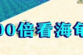 我的世界203：见证破壳瞬间！3颗蛋孵出4只海龟，太神奇了！-2