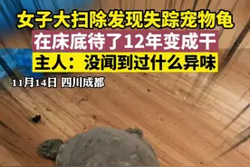 #四川成都 女子大扫除发现失踪宠物龟，在床底待了12年变成干，主人：没闻到过什么异味。@抖音短视频 视频封面
