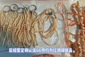 #海关 #濒危 一树红花变饰品 红珊瑚科属《国家重点保护野生动物名录》中一级保护动物视频封面