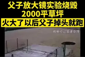父子放大镜实验烧毁2000平草坪 父亲向儿子演示放大镜聚热 #放大镜 #见势不妙 @抖音短视频视频封面