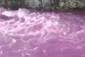 贵州遵义一河流大雨过后突然变红，官方：正在调查污染源，不排除有人投放。视频封面