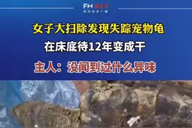 女子大扫除发现失踪乌龟，乌龟在床底待了12年变成干。视频封面