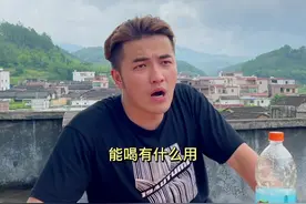 玩大话骰，不是能饮就行！是要讲技术，懂技巧！#禾虾仔 #骰子 #大话骰