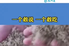 夹舌头😂，记者太实诚了。视频封面