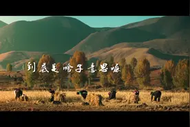 为什么四川人都用「安逸」这个词