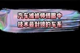 汽车维修师傅眼中：维修技术最封闭的车系视频封面