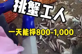 听说舟山渔港的挑蟹工人一天能挣1000块？你想来么？#梭子蟹 #海鲜原产地视频封面